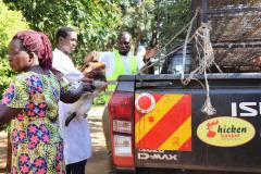 Market-ready-chicken