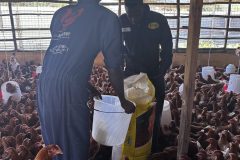 Poultry-house-1-scaled